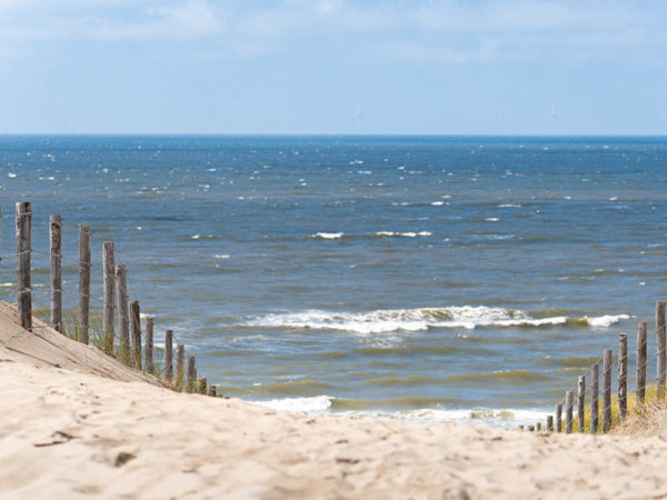 Duinen