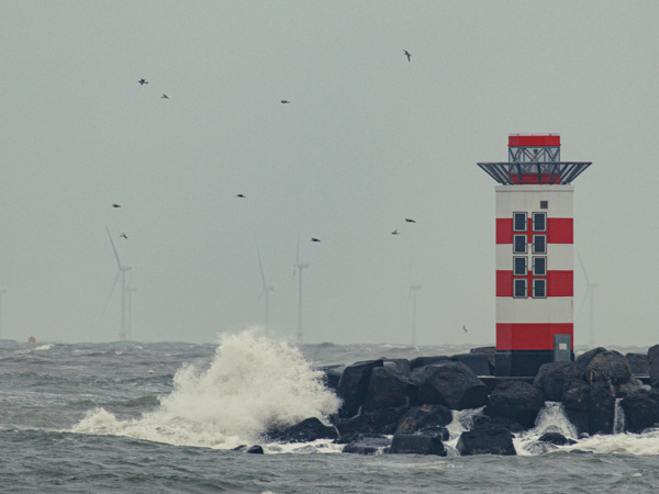 Storm in IJmuiden