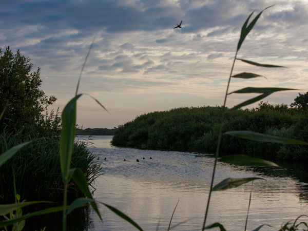 Het Zwanenwater